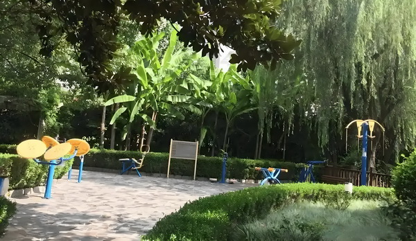 申请深户需什么条件_专访导演饶晓志：对《万里归途》满意和骄傲 化融合的文两国促成深入