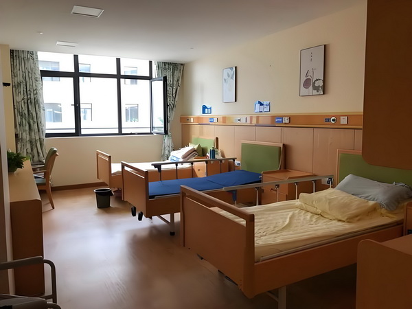 深圳申请入户网站_《你行！你上！》：弹琴吧！爸爸 一辆野猪撞上快车城际